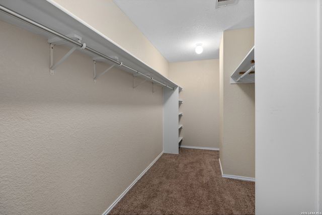 16734 Basin Oak, San Antonio, TX 78247