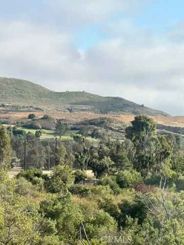 27086 Via Caminata, San Juan Capistrano, CA 92675