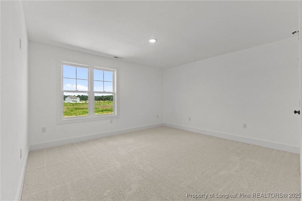176 Peeler (Lot 21) Circle, Raeford, NC 28376 — photo 16