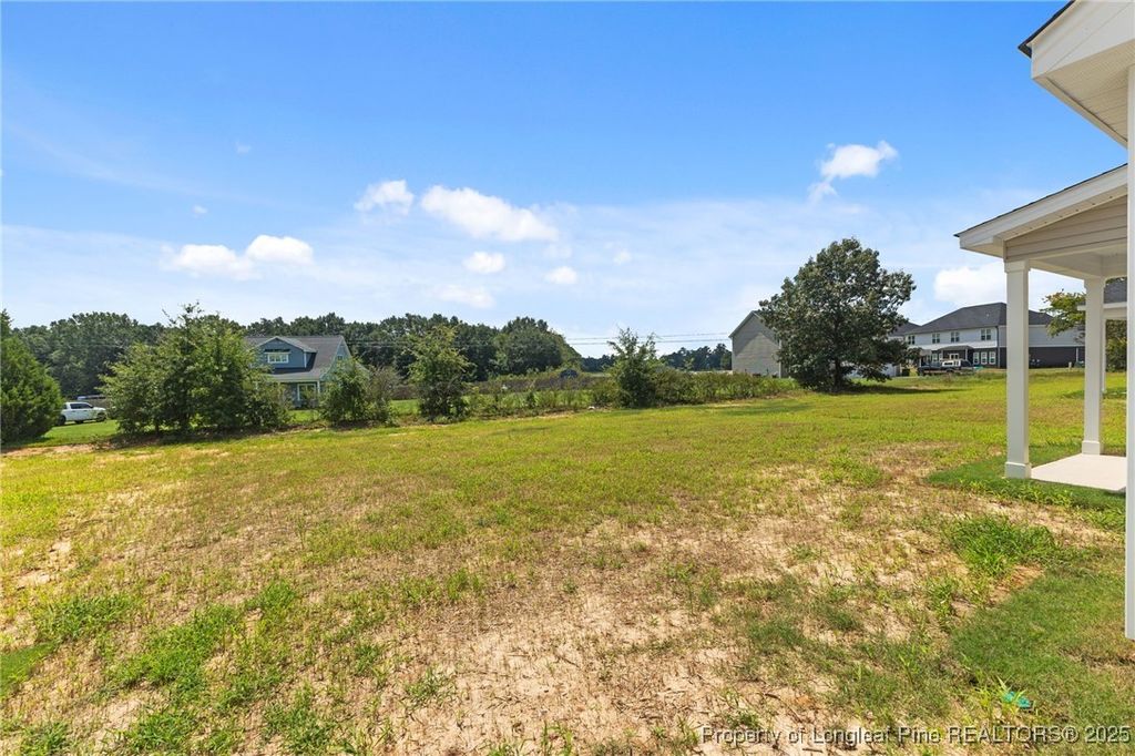 176 Peeler (Lot 21) Circle, Raeford, NC 28376 — photo 33