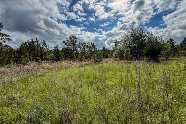 20.49 Acres State Highway 19, Huntsville, TX 77320
