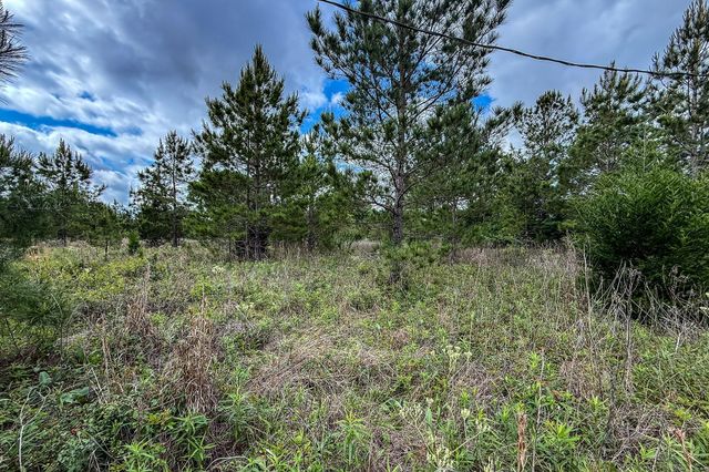 20.49 Acres State Highway 19, Huntsville, TX 77320