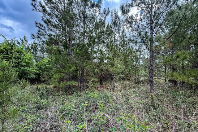 20.49 Acres State Highway 19, Huntsville, TX 77320