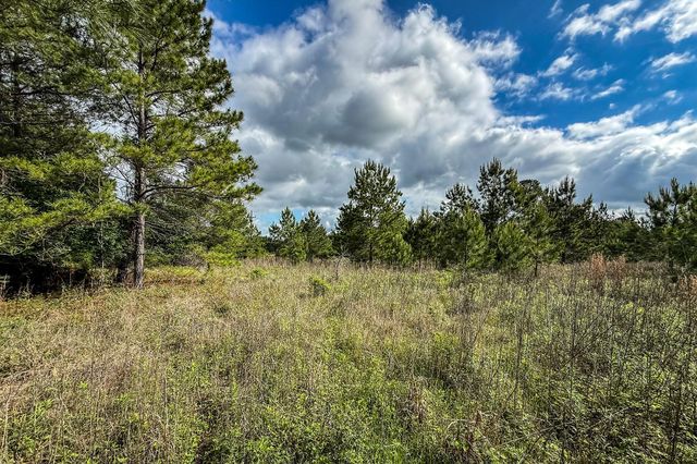 20.49 Acres State Highway 19, Huntsville, TX 77320