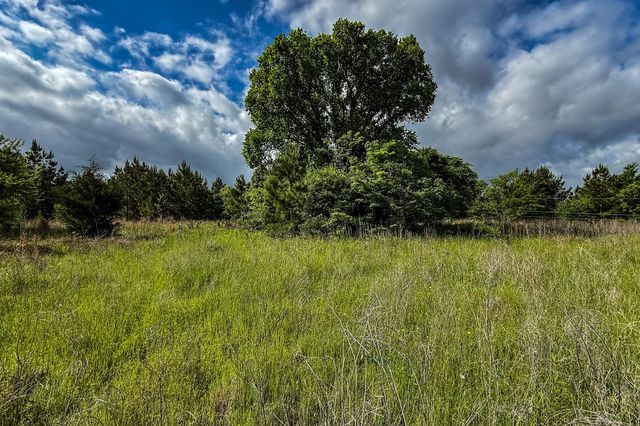 20.49 Acres State Highway 19, Huntsville, TX 77320