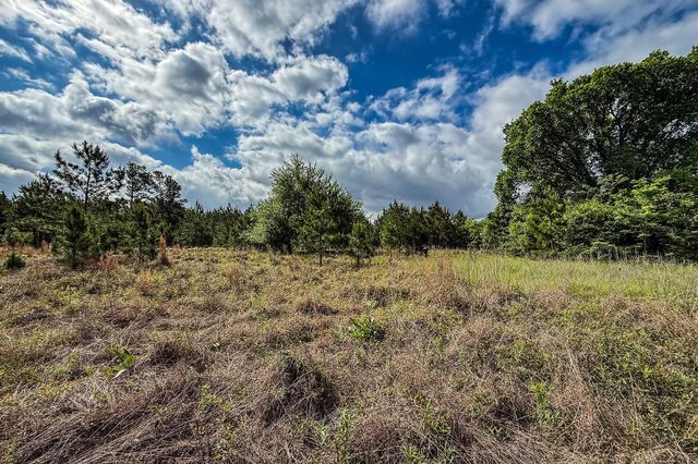 20.49 Acres State Highway 19, Huntsville, TX 77320