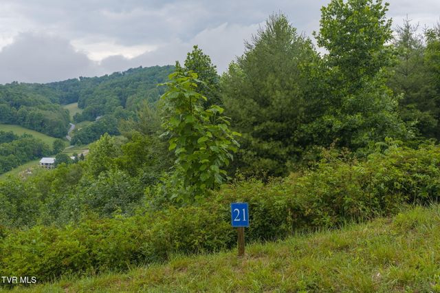 Lot 21 Eagle Ridge Parkway, Butler, TN 37640