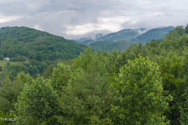 Lot 21 Eagle Ridge Parkway, Butler, TN 37640