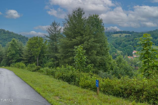 Lot 21 Eagle Ridge Parkway, Butler, TN 37640
