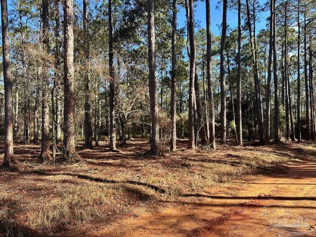 0 Avalon Blvd, Milton, FL 32583