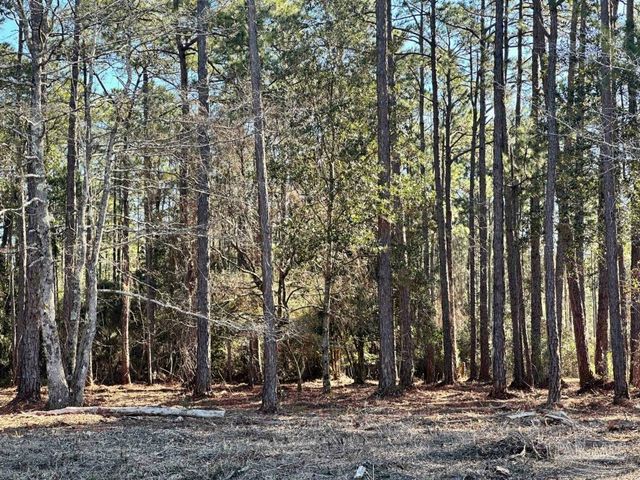 0 Avalon Blvd, Milton, FL 32583