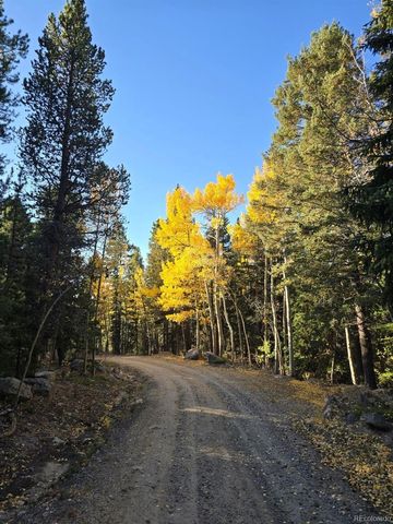 174 Aspen Meadow Lane, Golden, CO 80403