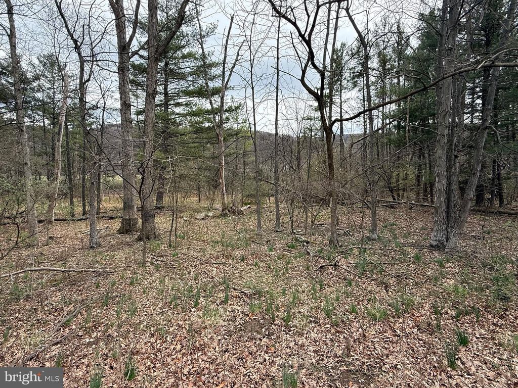 TIMBERLAKE ESTATES - LOT 4, New Creek, WV 26743