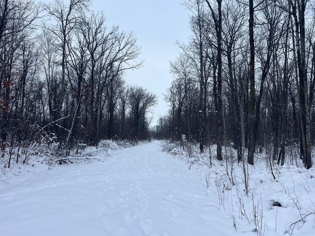 12246 250th Street, Milaca, MN 56353