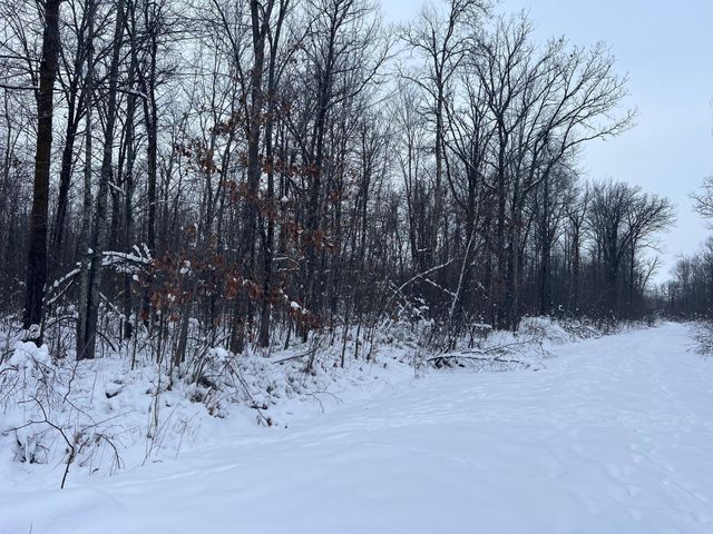 12246 250th Street, Milaca, MN 56353