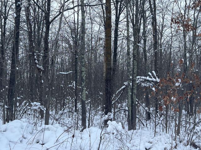 12246 250th Street, Milaca, MN 56353