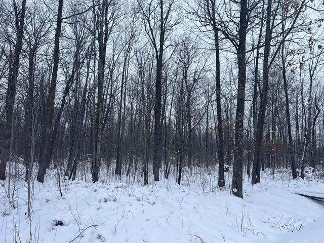 12246 250th Street, Milaca, MN 56353