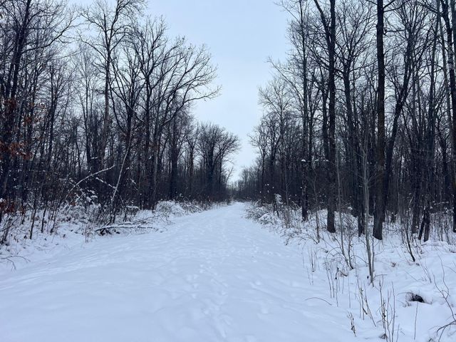 12246 250th Street, Milaca, MN 56353