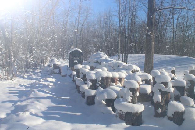 12246 250th Street, Milaca, MN 56353