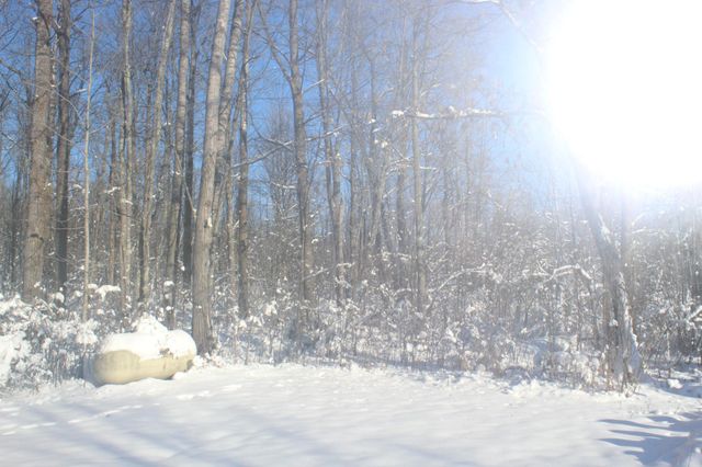 12246 250th Street, Milaca, MN 56353