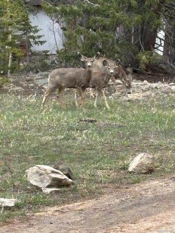 33 L Road, Golden, CO 80403