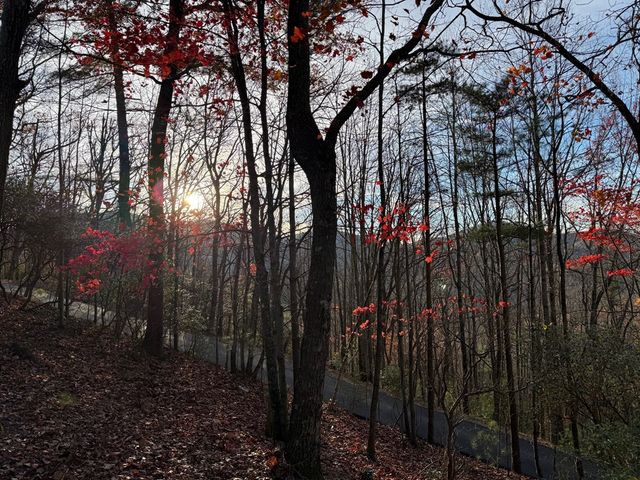 708 Wilson Mountain Road, Blairsville, GA 30512