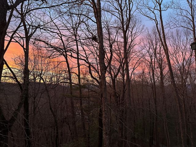 708 Wilson Mountain Road, Blairsville, GA 30512