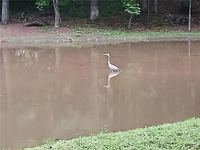 1705 Redbud Way, Cumming, GA 30041