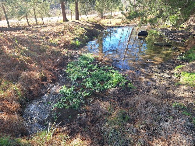 32 N Bradley Rd, Lawrenceburg, TN 38464