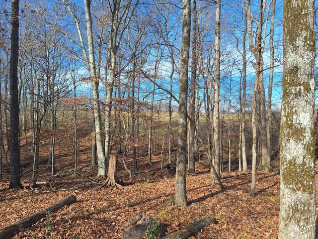 32 N Bradley Rd, Lawrenceburg, TN 38464