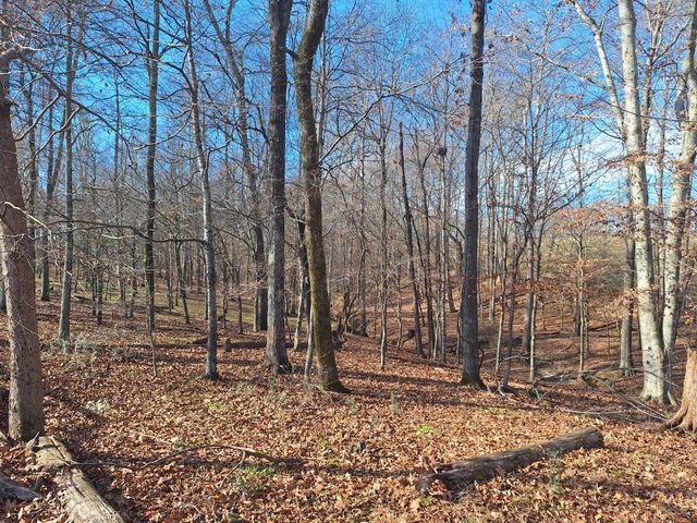 32 N Bradley Rd, Lawrenceburg, TN 38464