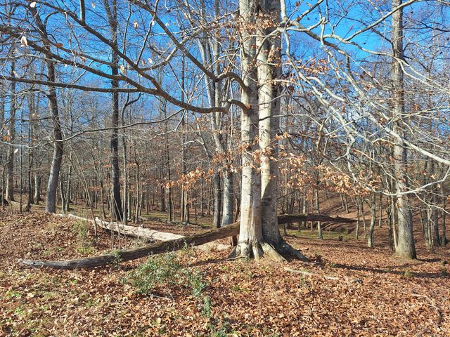 32 N Bradley Rd, Lawrenceburg, TN 38464