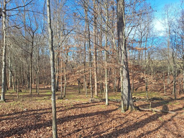 32 N Bradley Rd, Lawrenceburg, TN 38464