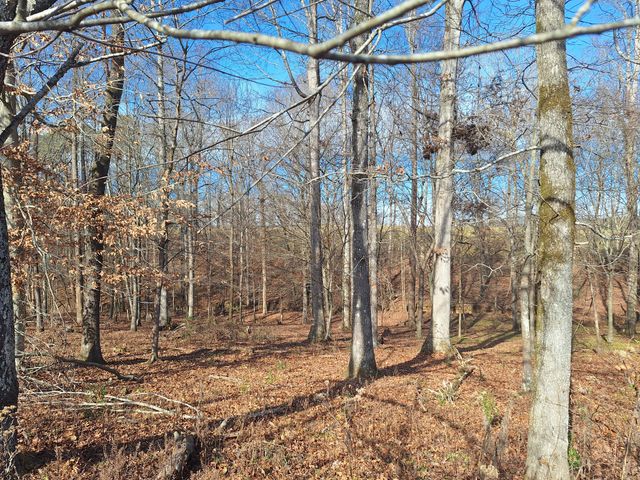 32 N Bradley Rd, Lawrenceburg, TN 38464