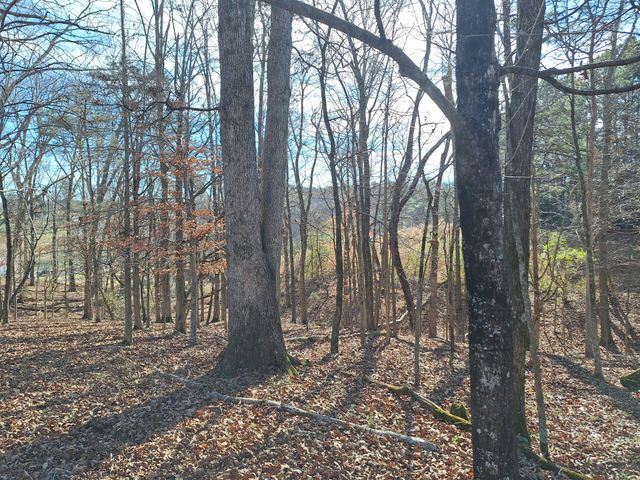 32 N Bradley Rd, Lawrenceburg, TN 38464