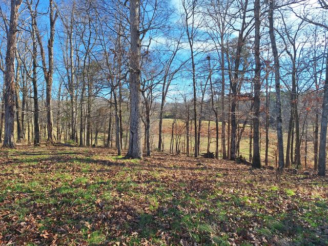 32 N Bradley Rd, Lawrenceburg, TN 38464