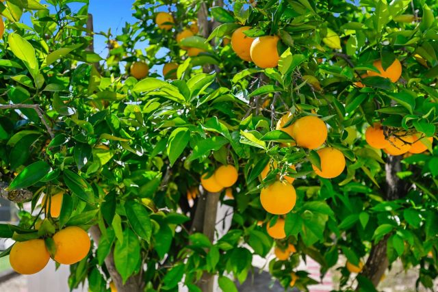 4517 Quailridge Dr, Oceanside, CA 92056