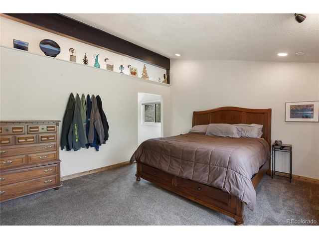 45 Barr Lake Cir, Divide, CO 80814