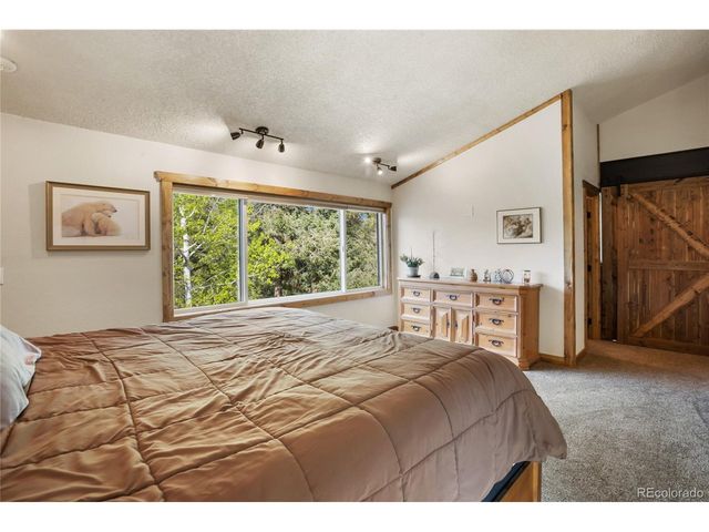 45 Barr Lake Cir, Divide, CO 80814