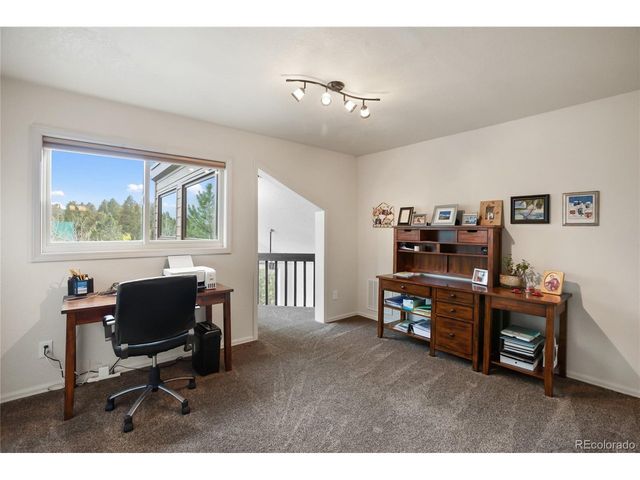 45 Barr Lake Cir, Divide, CO 80814