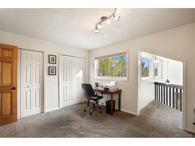 45 Barr Lake Cir, Divide, CO 80814