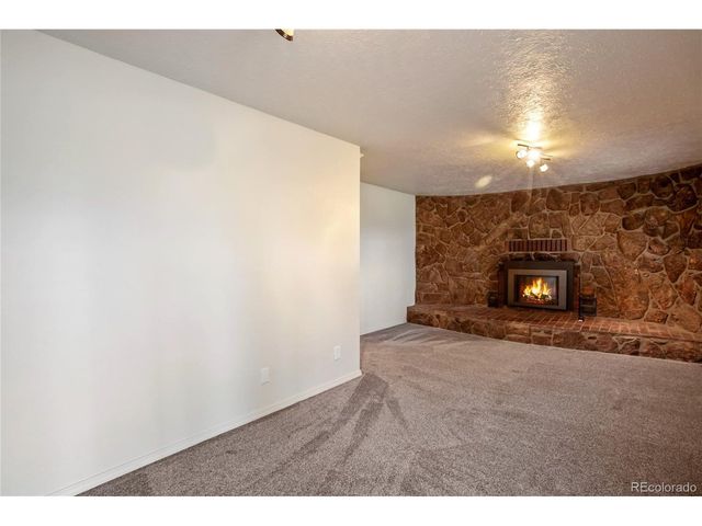 45 Barr Lake Cir, Divide, CO 80814