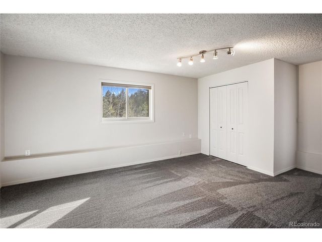 45 Barr Lake Cir, Divide, CO 80814