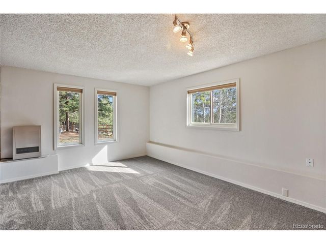 45 Barr Lake Cir, Divide, CO 80814