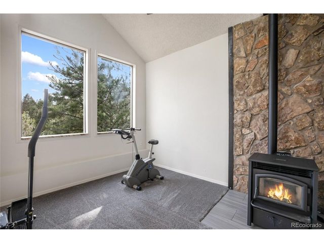 45 Barr Lake Cir, Divide, CO 80814