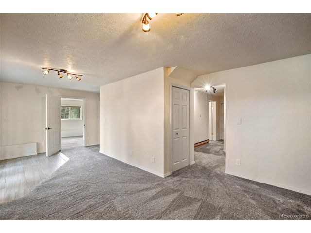 45 Barr Lake Cir, Divide, CO 80814