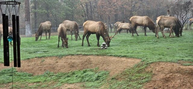 201 Hoffman Way, Grants Pass, OR 97526