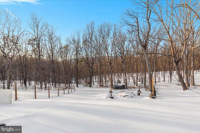 1501 S TIMBER RIDGE RD, Cross Junction, VA 22625