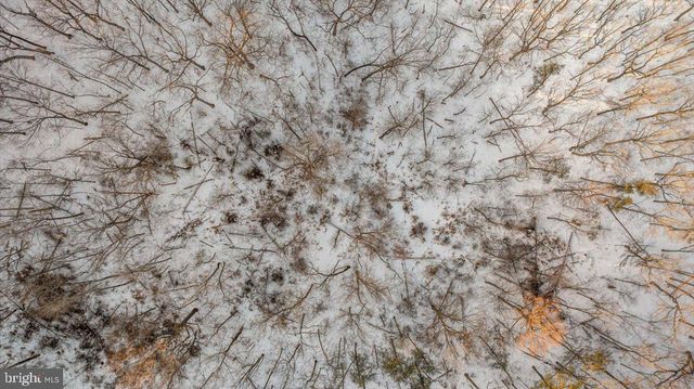 1501 S TIMBER RIDGE RD, Cross Junction, VA 22625