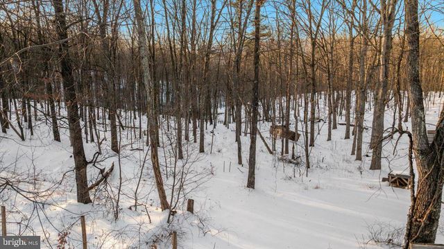 1501 S TIMBER RIDGE RD, Cross Junction, VA 22625